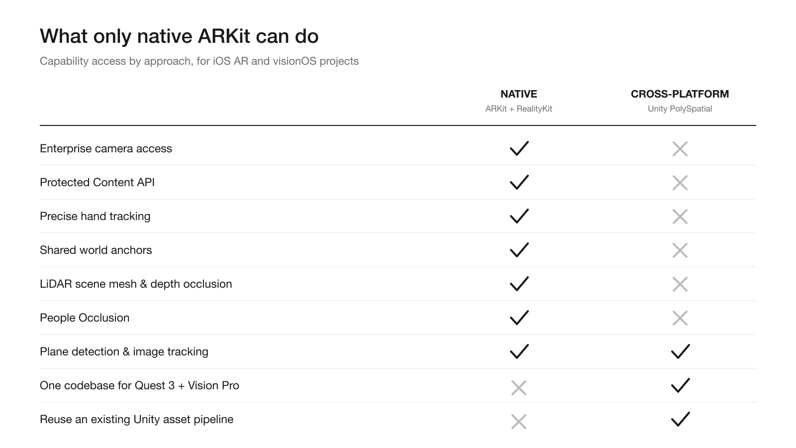 Comparison of which AR capabilities native ARKit and RealityKit expose versus cross-platform Unity PolySpatial